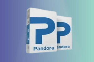 Pandora Tool Digital Licence No Need Box - 1 Year - (New User)